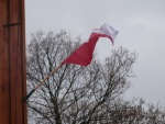 Święto Niepodległości 2015 r.