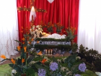 DSCF0153.JPG