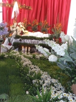 DSCF0178.JPG