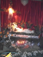 DSCF0080.JPG
