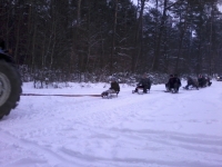 2013-01-20 15.41.24.jpg