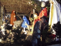 IMG_0075.JPG