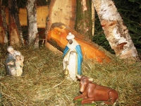 IMG_4068.JPG
